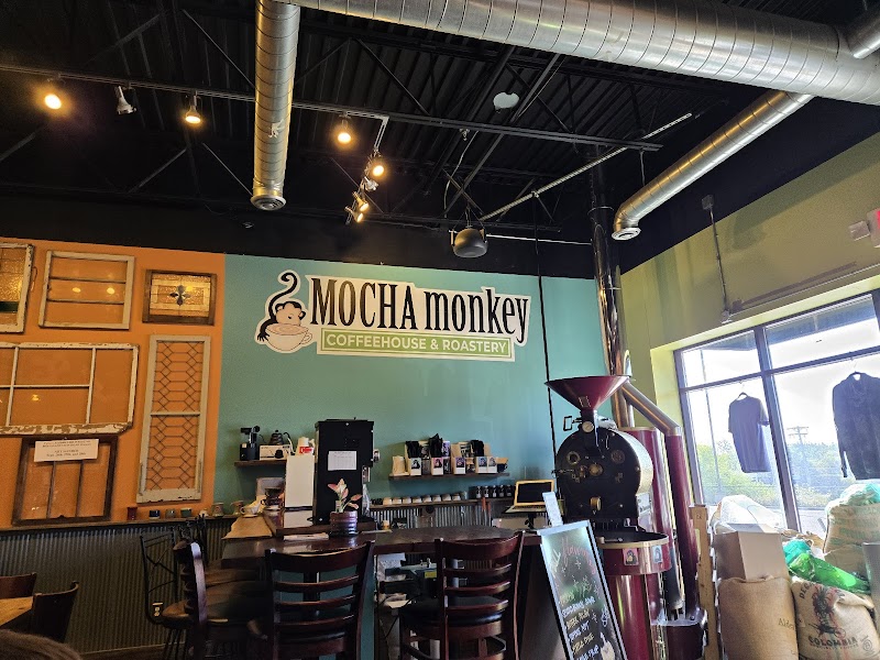 Mocha Monkey photo 3
