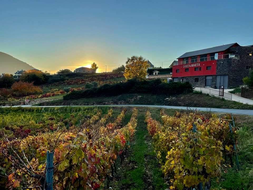 BODEGAS SANTA MARTA