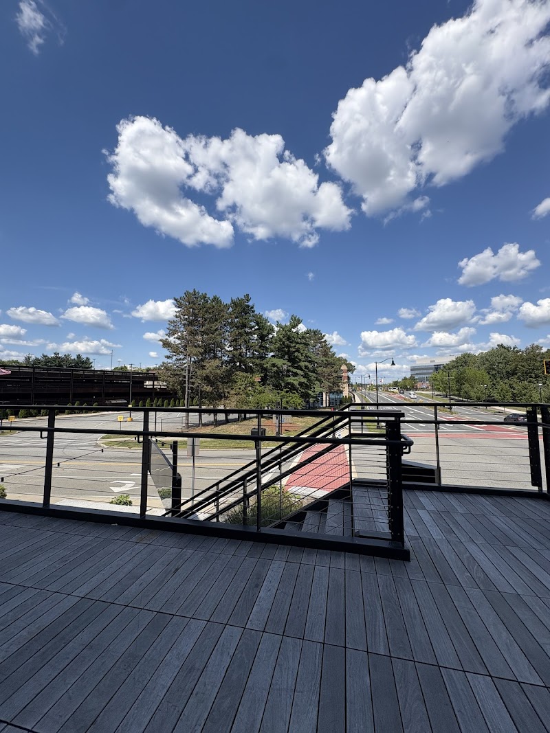 Dragonfly Cafe photo 4