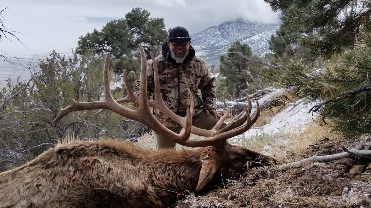 Timberline Outfitters Guide Service