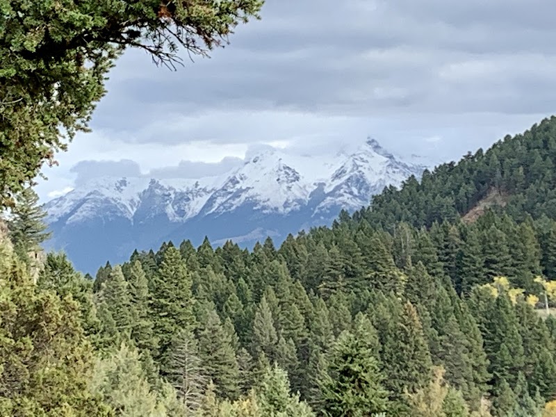 Mountain Sky Guest Ranch - Photo 6