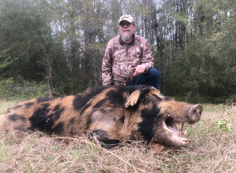 Shady Grove Outfitters - Photo 6