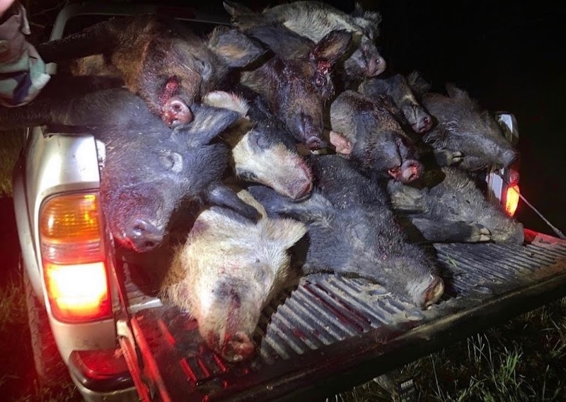 Shady Grove Outfitters - Photo 3