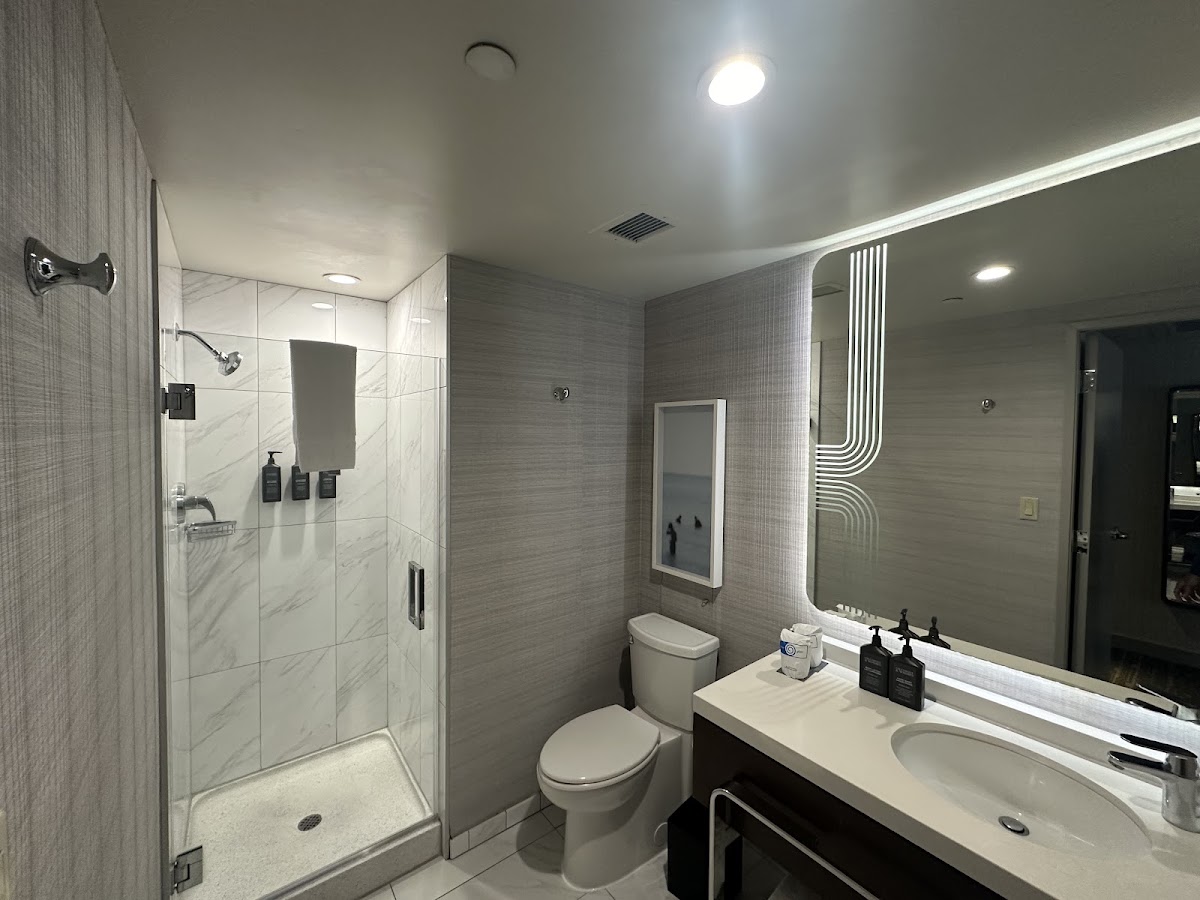 Sheraton Grand Los Angeles, dog-friendly hotel, photo 3