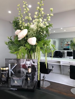 Honeycombe Hair Extensions photo 3