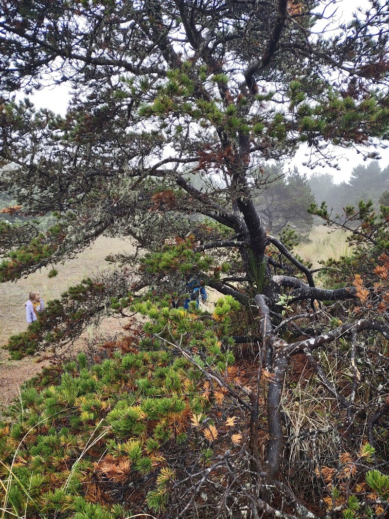 18 Hole Disc Golf Course photo 5
