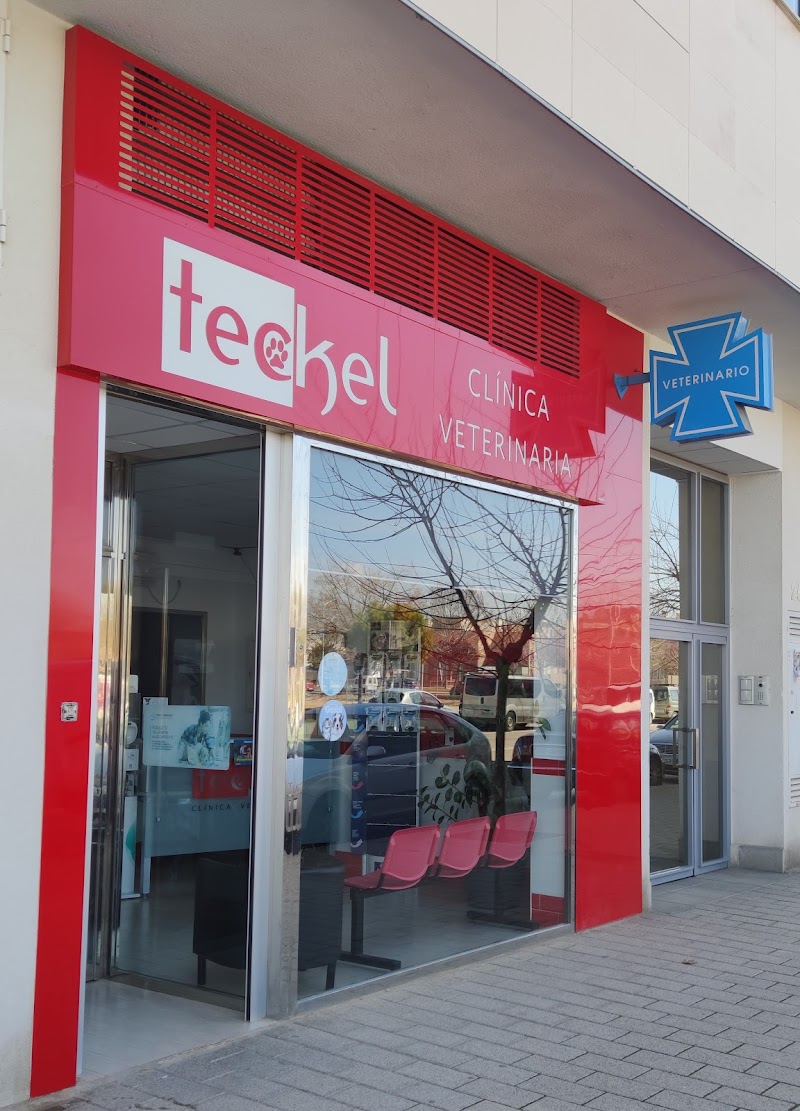 Clínica Veterinaria Teckel