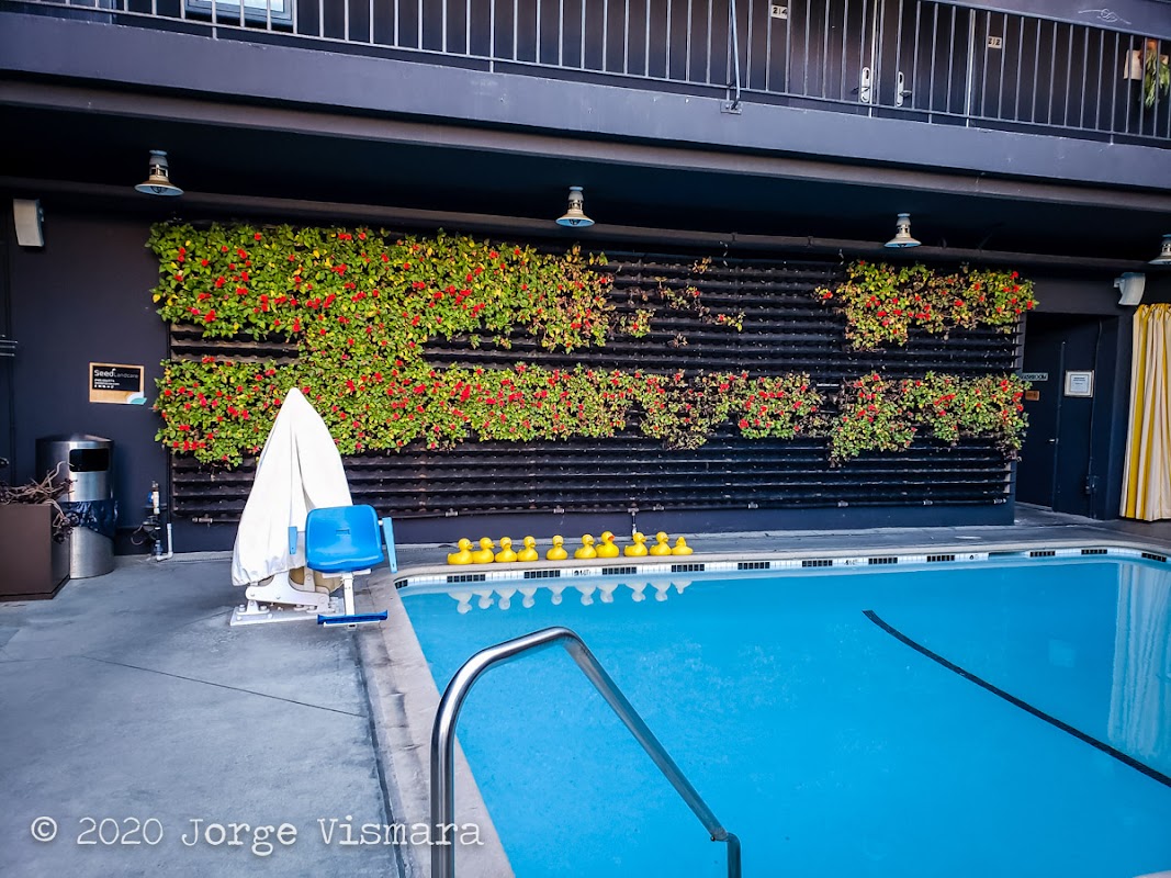 ファーマーズ・ドーター・ホテル - 画像 8