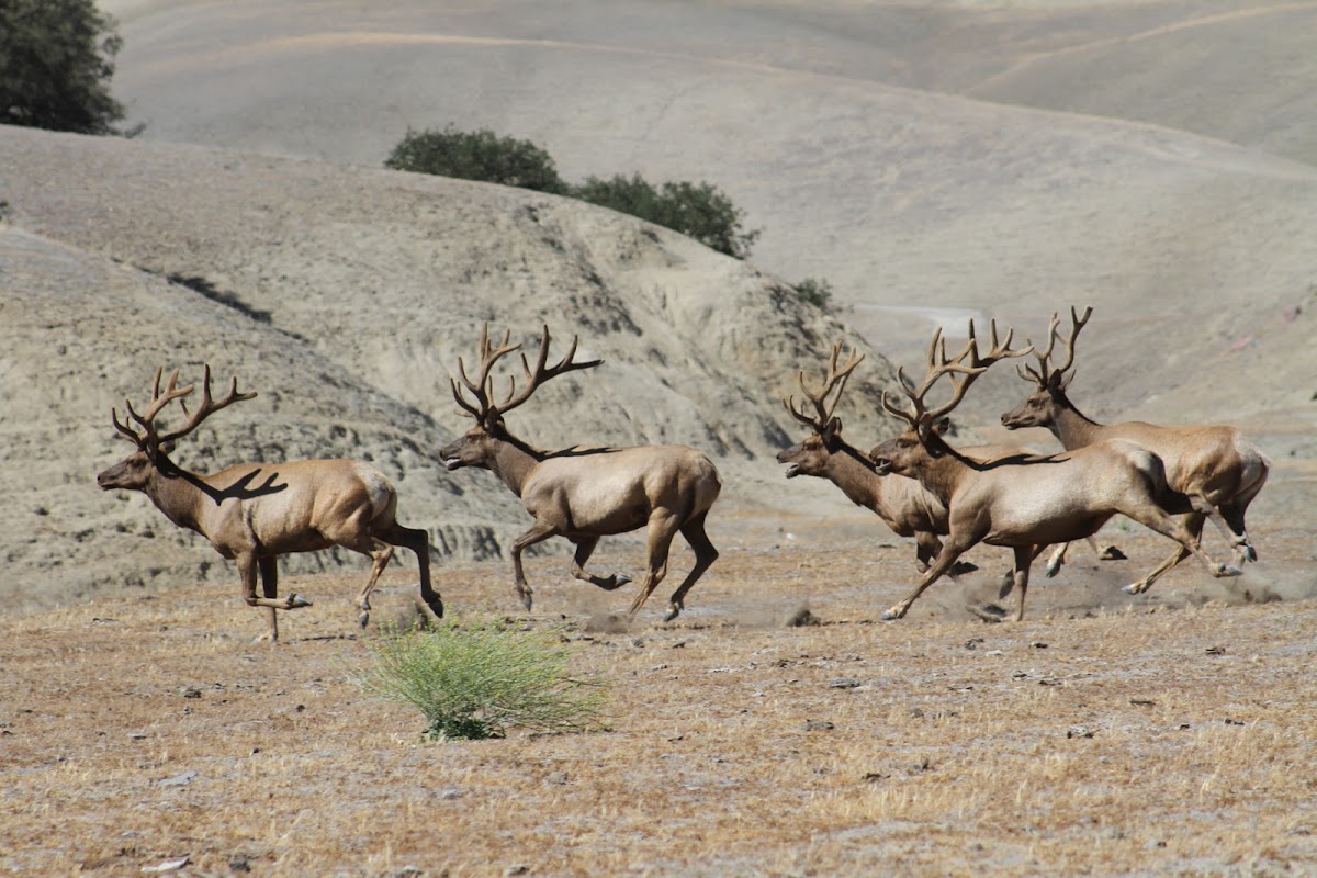 Central Coast Outfitters