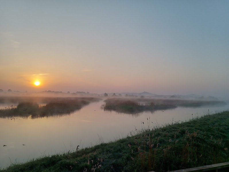 RSPB Ham Wall