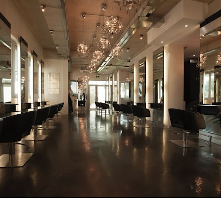 Theory for Hair photo 3