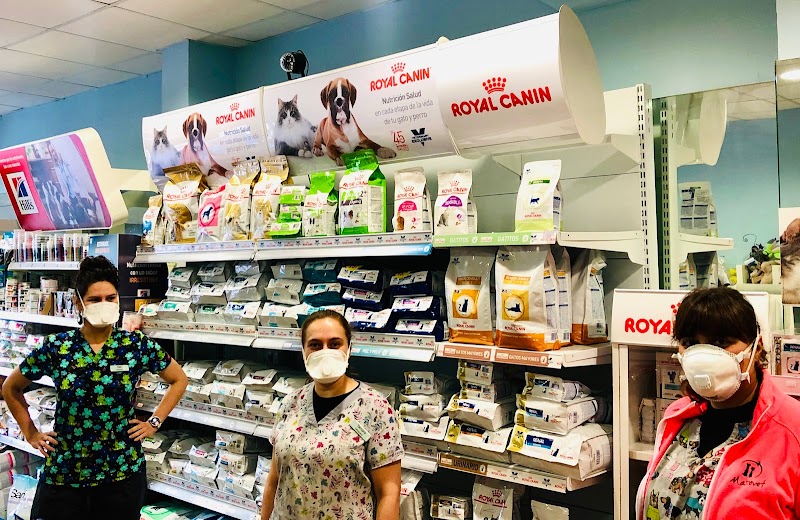 Mascovet Lugo photo 2