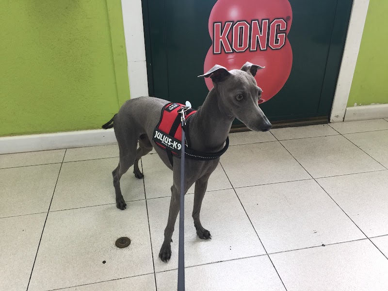 Clinica Veterinaria Kavure photo 3