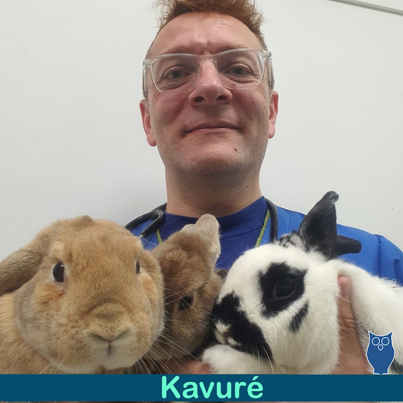 Clinica Veterinaria Kavure photo 2