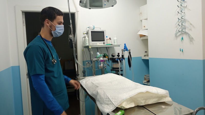 Clinica Veterinaria Kavure photo 4