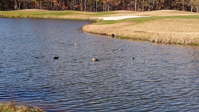 Inawashiro Golf Club - Photo 7