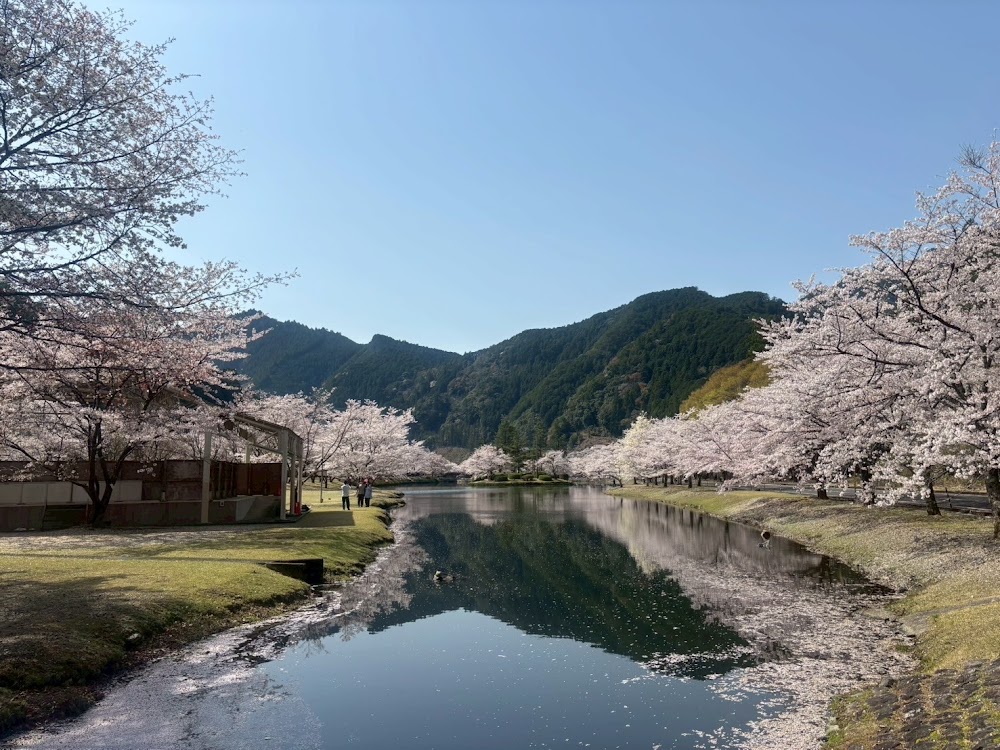 下北山スポーツ公園キャンプ場