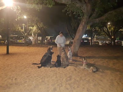 איזידוג אילוף כלבים | מאלפת כלבים