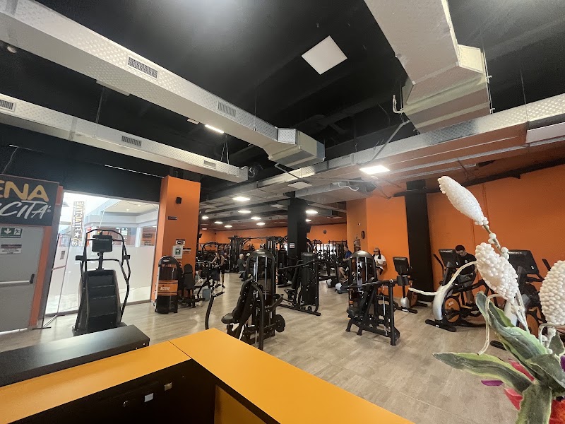 FitActive