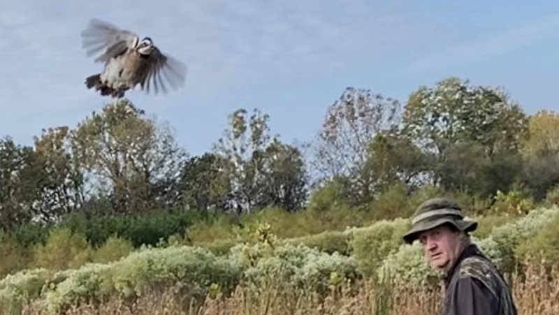 J&J Quail Farm LLC. - Photo 3