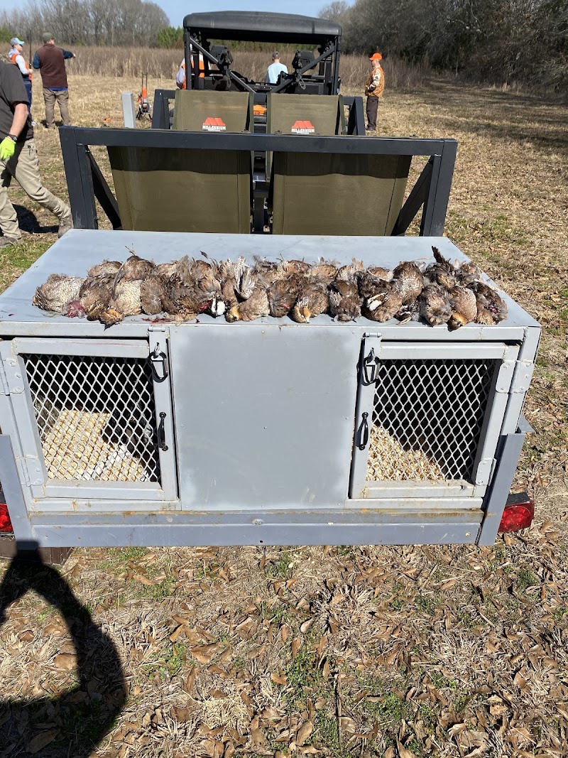 J&J Quail Farm LLC. - Photo 2