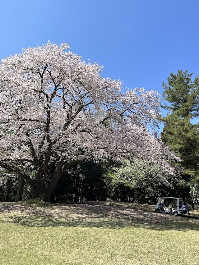 Fuchu Country Club - Photo 7