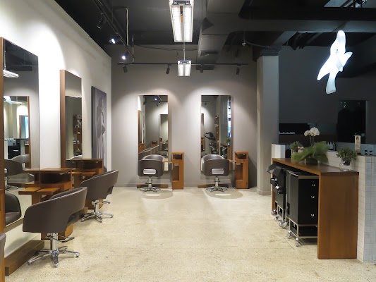 WILD LIFE HAIR SOGO Surry Hills, Sydney photo 3