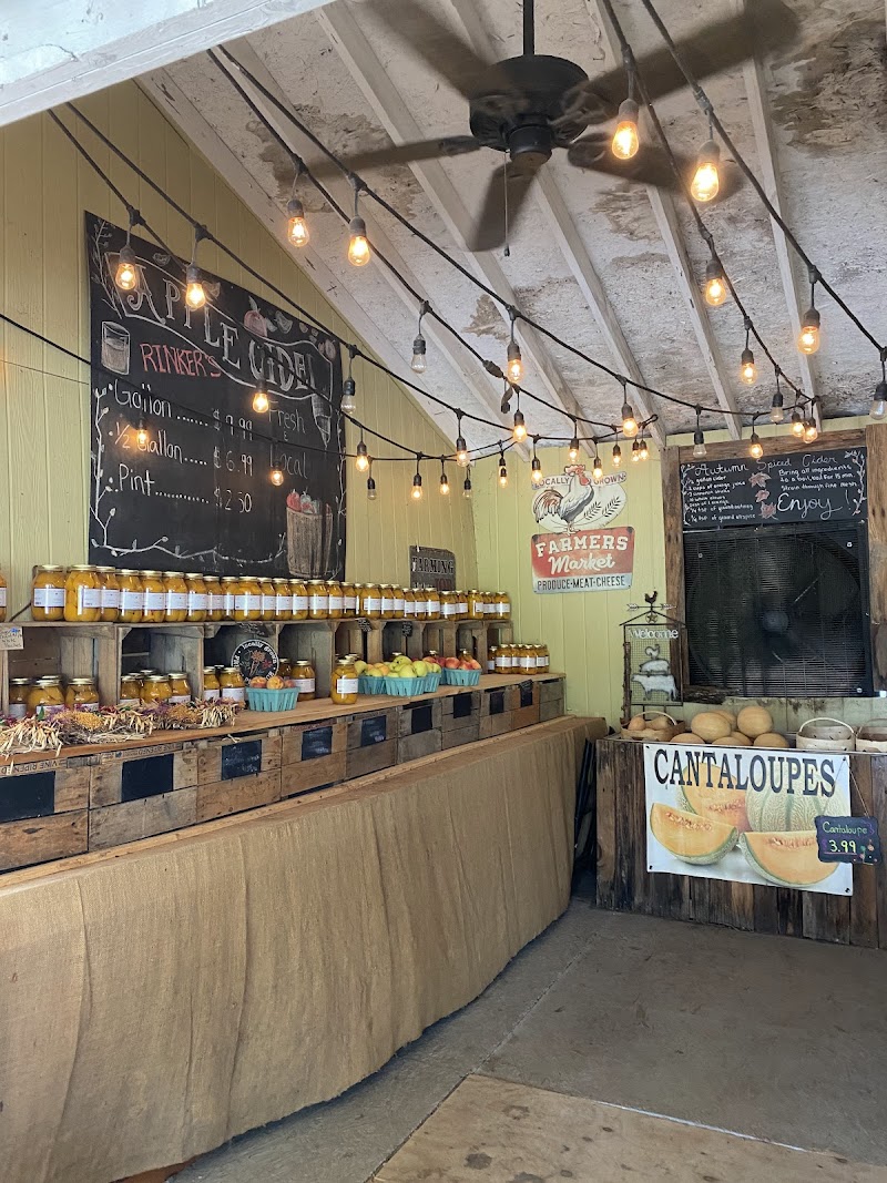 Loudounberry photo 2