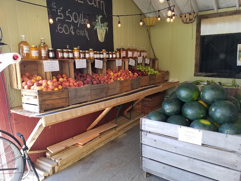 Loudounberry photo 3