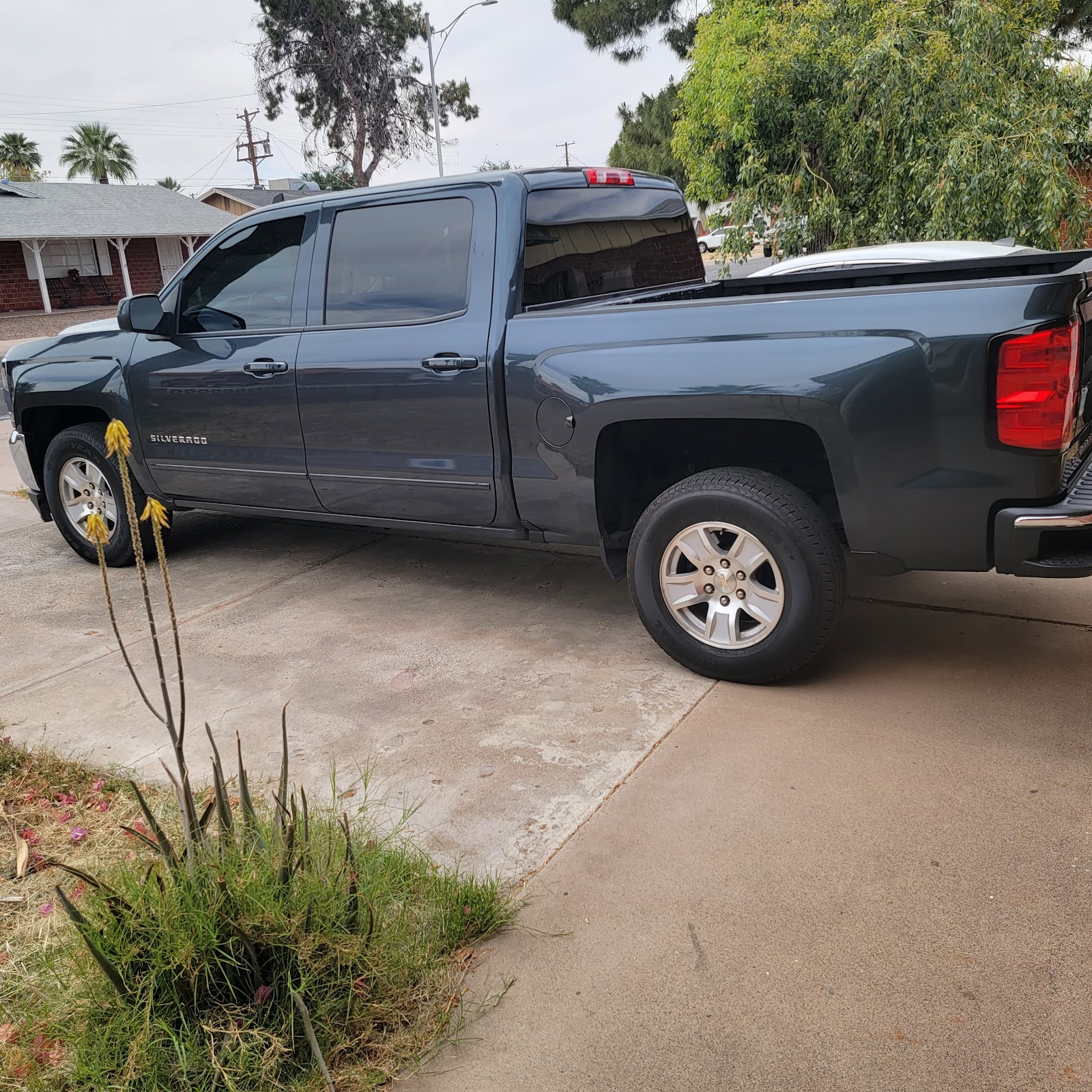 Desert Winds Automotive photo 1