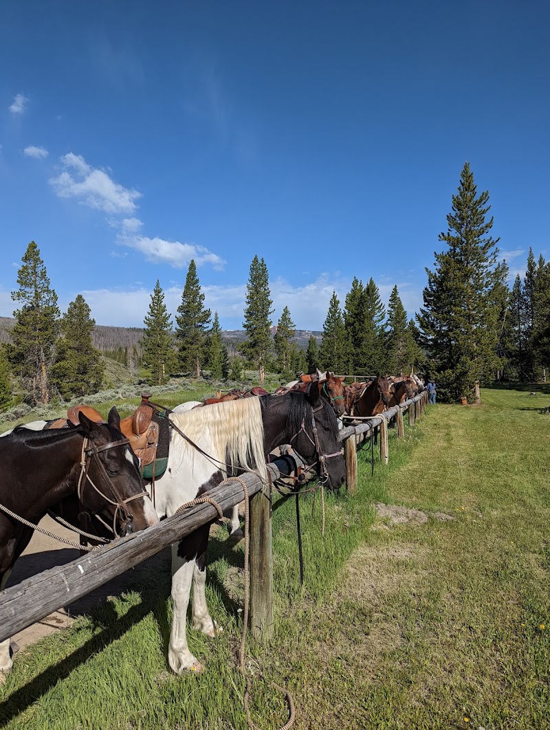 Triangle C Dude Ranch - Photo 2