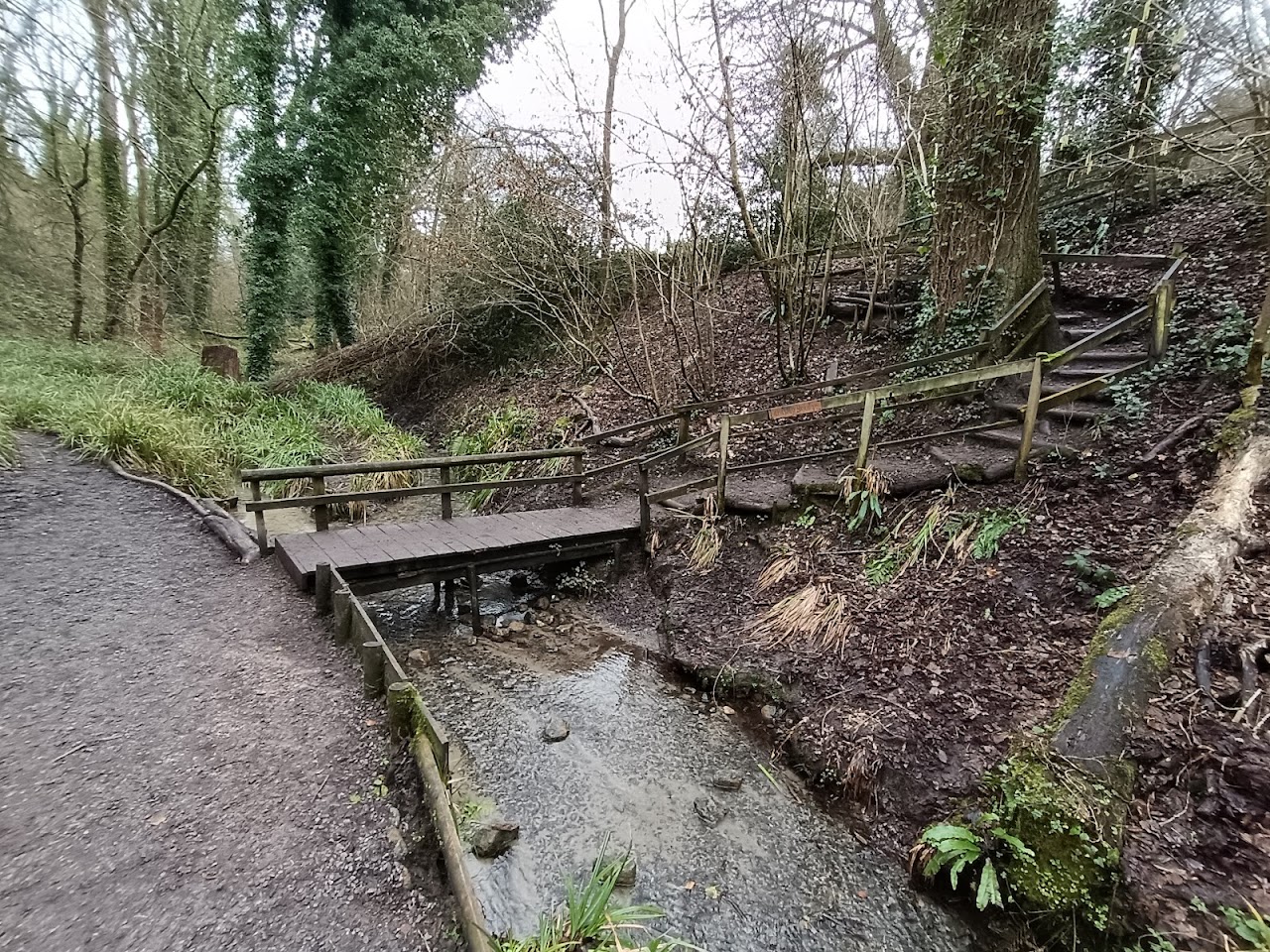 Drews Pond Wood Local Nature Reserve