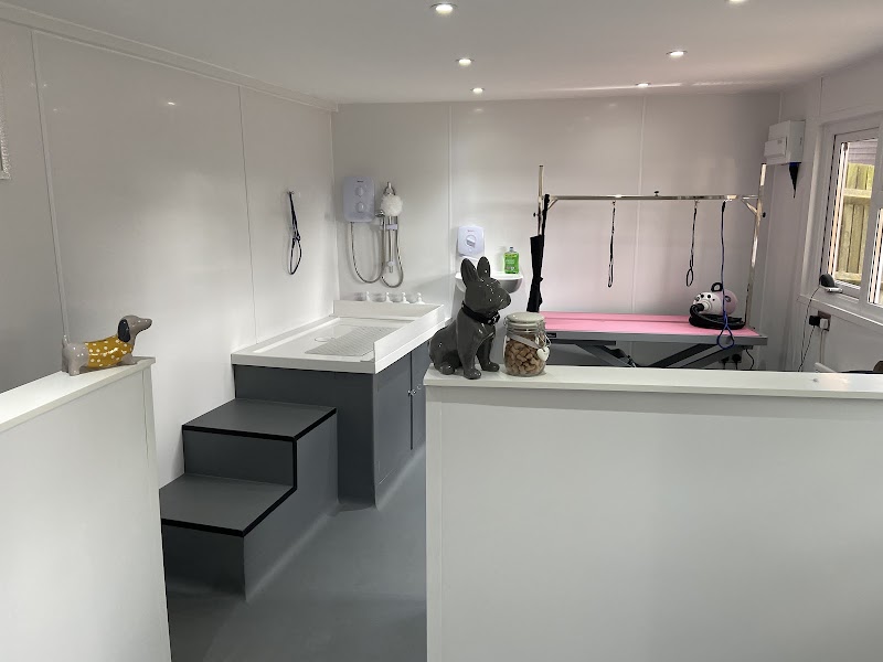 Corbz Pet Services in Bristol
