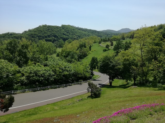 Chisan Country Club Zenibako - Photo 10