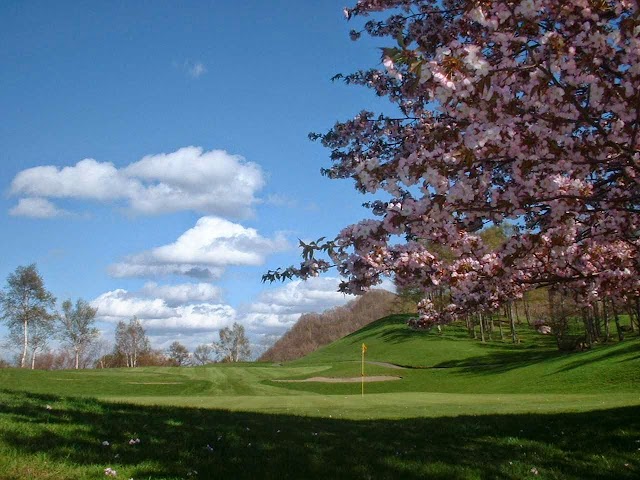 Chisan Country Club Zenibako - Photo 5
