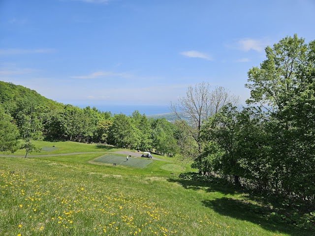 Chisan Country Club Zenibako - Photo 1