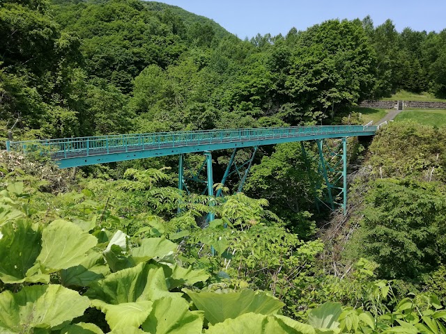 Chisan Country Club Zenibako - Photo 8