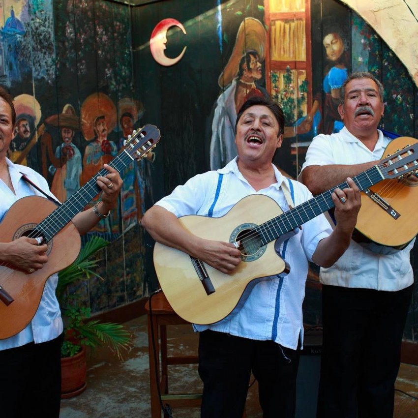 mariachi band in san jose ca: Google Places image 2