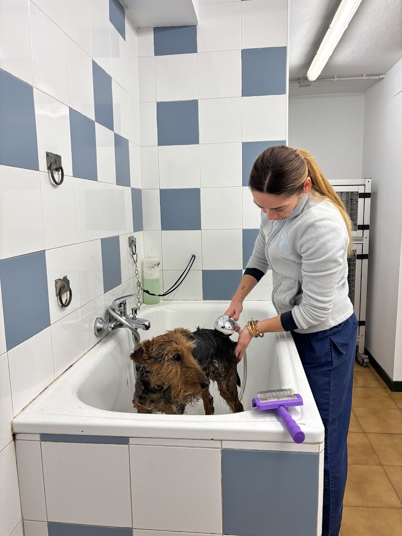 Clínica Veterinaria Parque Morales