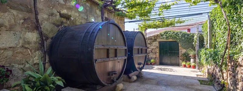 Bodega Quinta Couselo photo 1