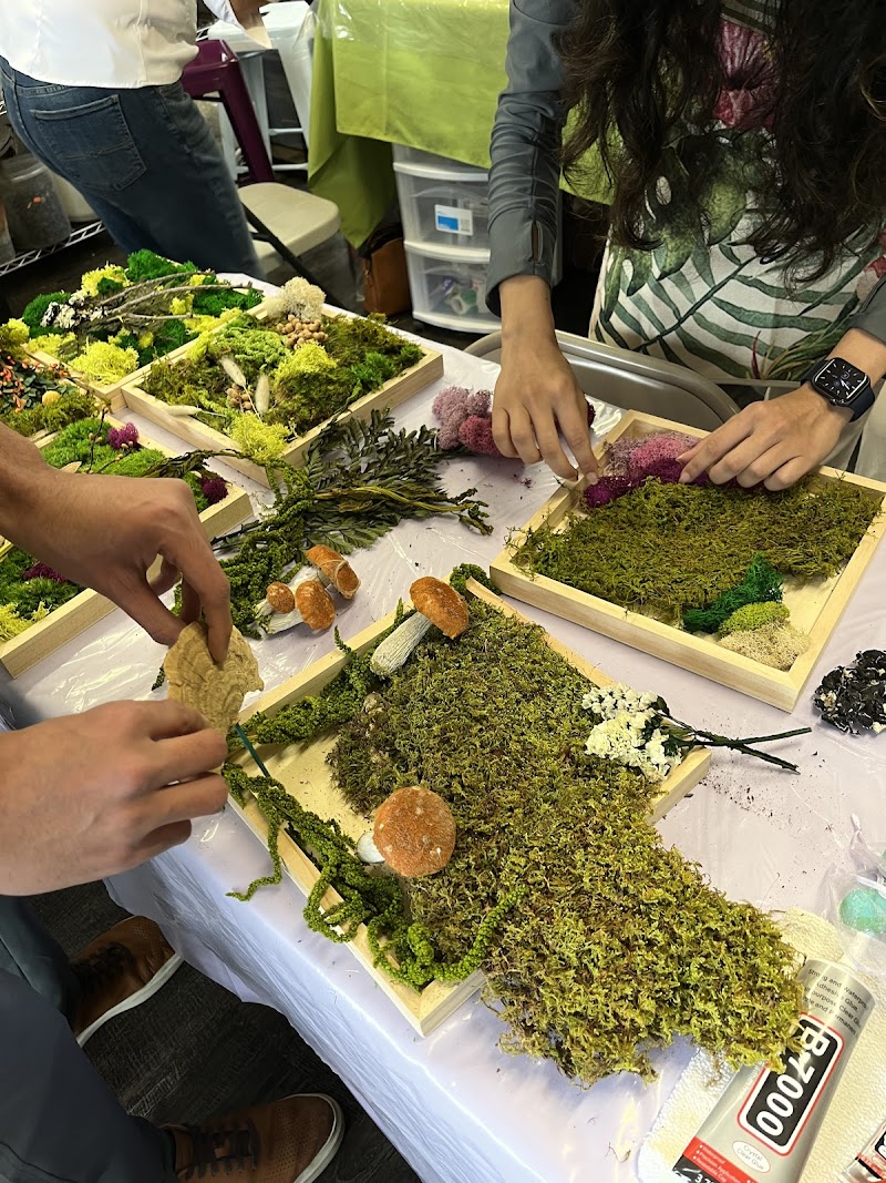 Hands-on terrarium and moss art classes