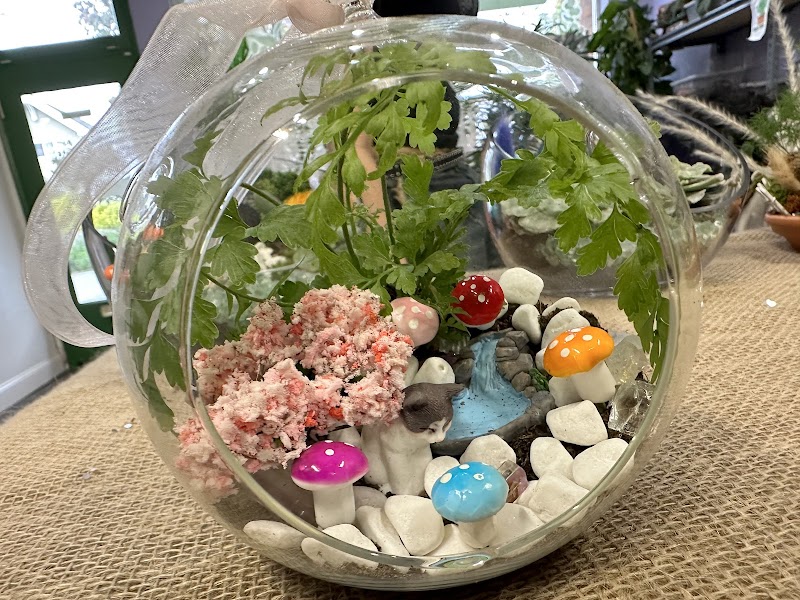 Bespoke interior greenery and terrariums