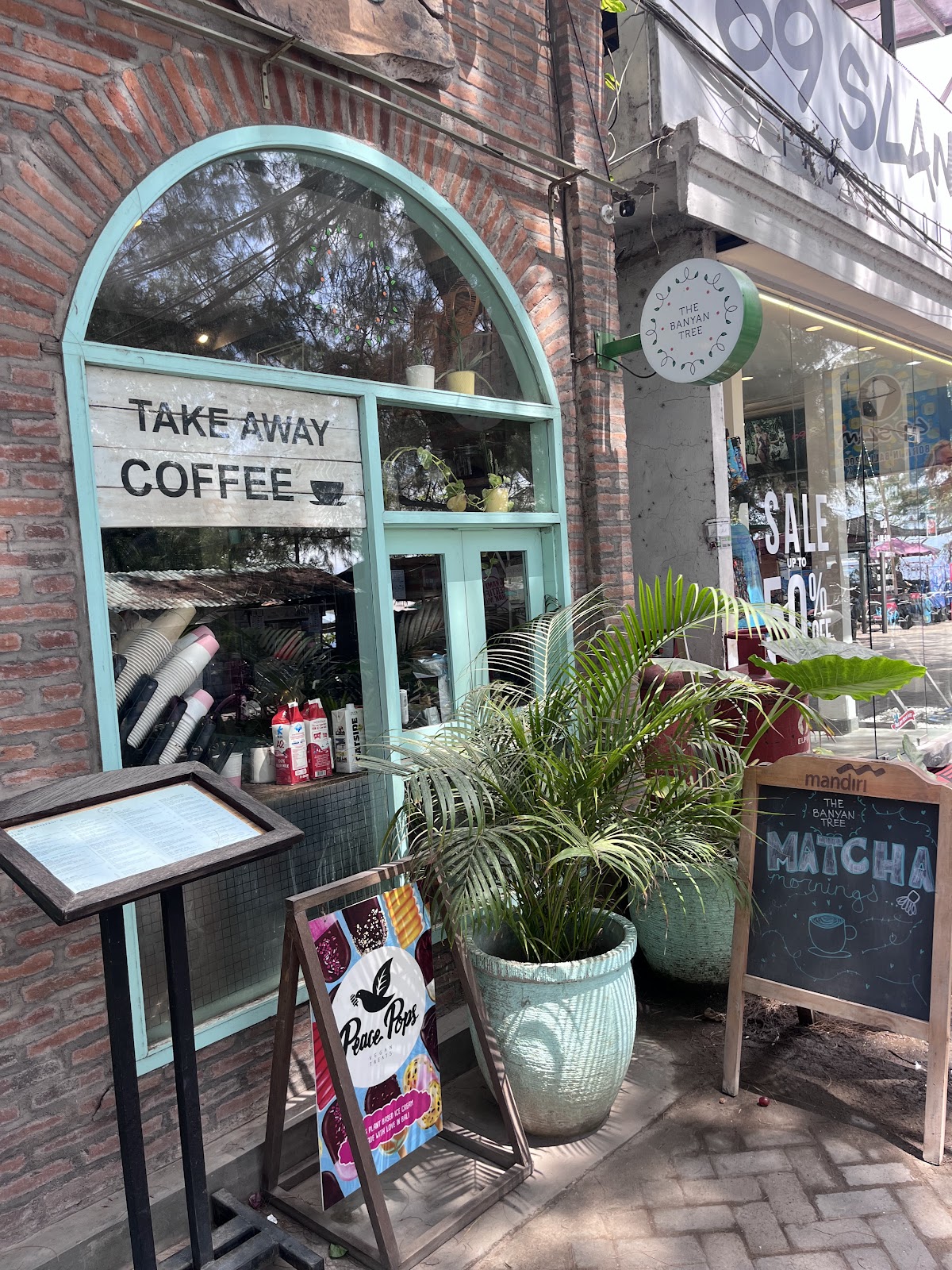 The Banyan Tree in gili-islands