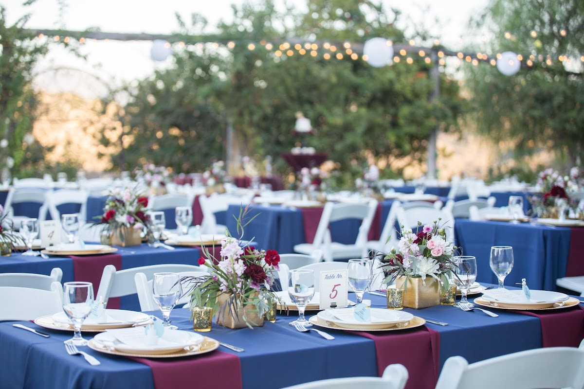 San Diego Life Events: Google Places image 5