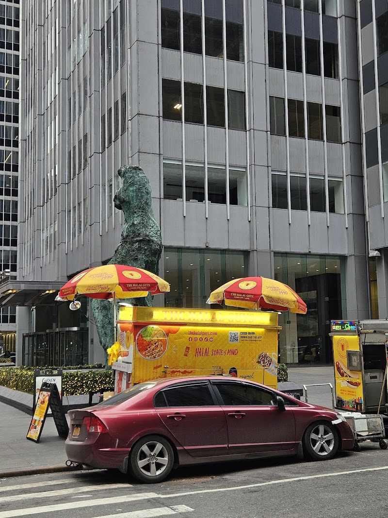 Soho Halal Guy (Food Cart) photo 5