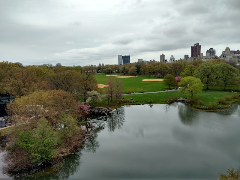 Great Lawn Volleyball Courts