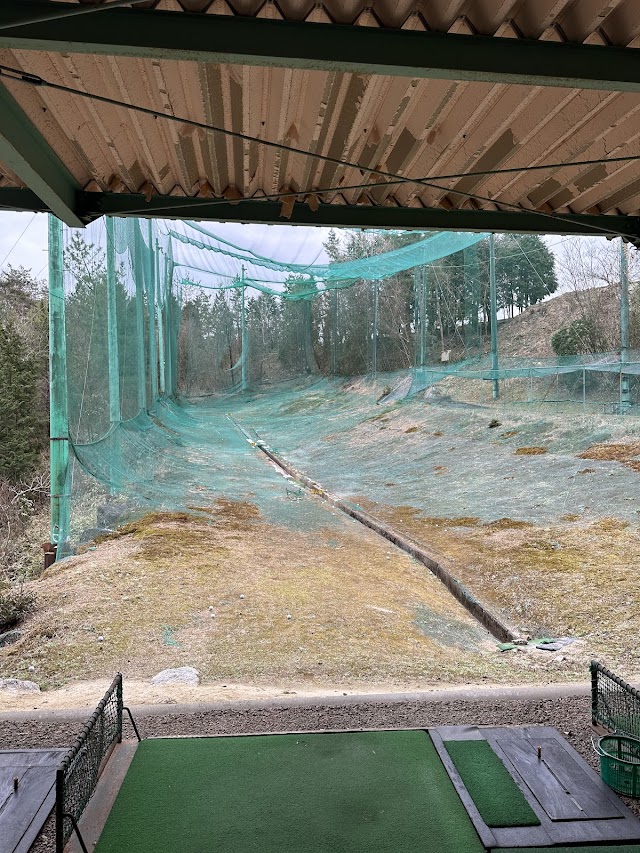Crown Country Club - Photo 10