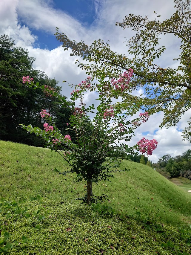 Crown Country Club - Photo 7