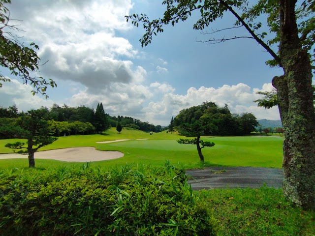 Crown Country Club - Photo 1