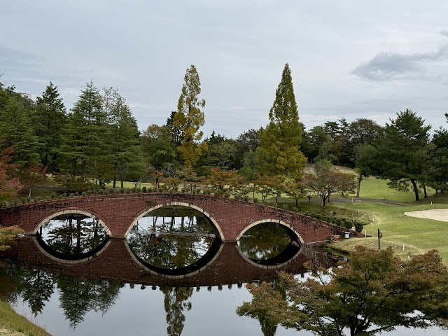 Crown Country Club - Photo 4